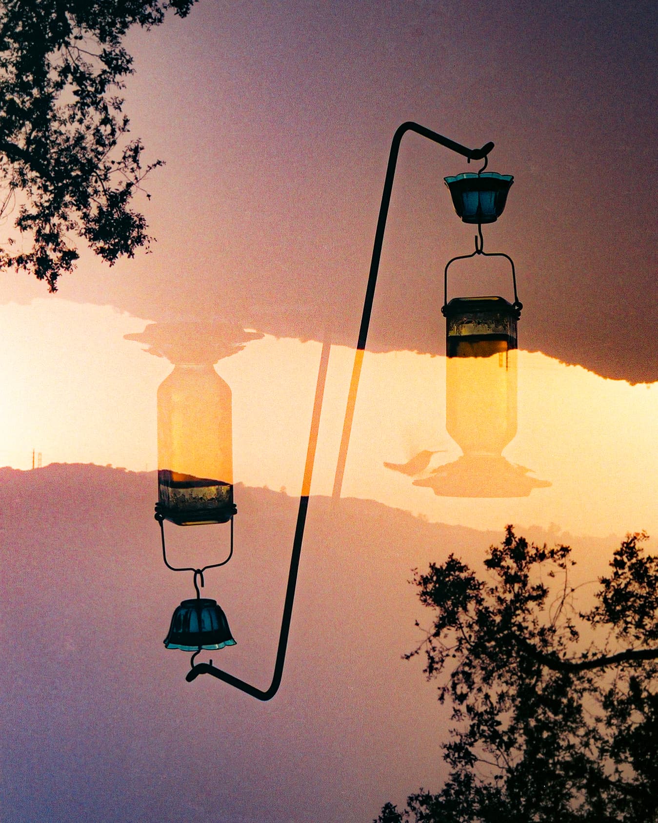 Hummingbird feeder double exposure at sunset